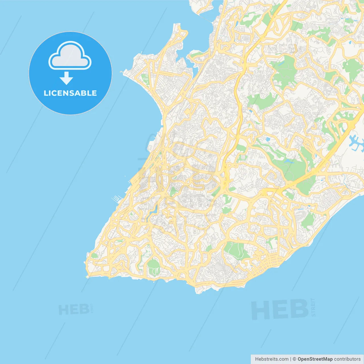 Printable street map of Salvador, Brazil