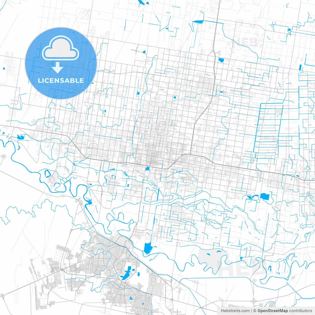 Rich detailed vector map of McAllen, Texas, USA