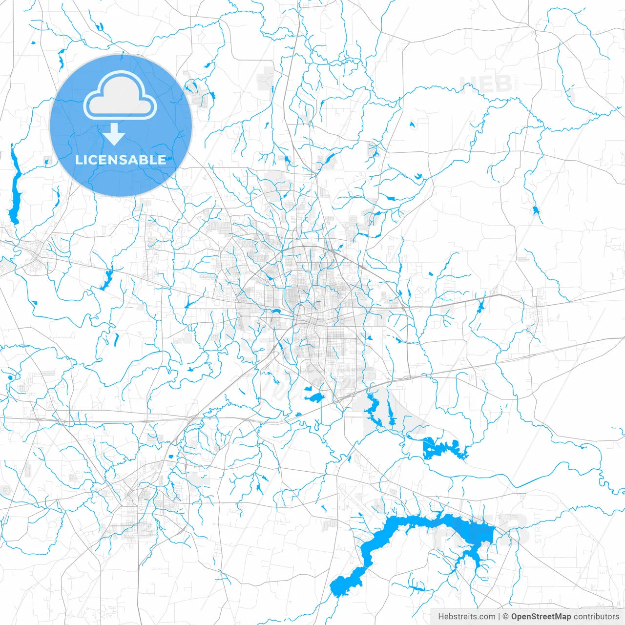 Rich detailed vector map of Longview, Texas, USA