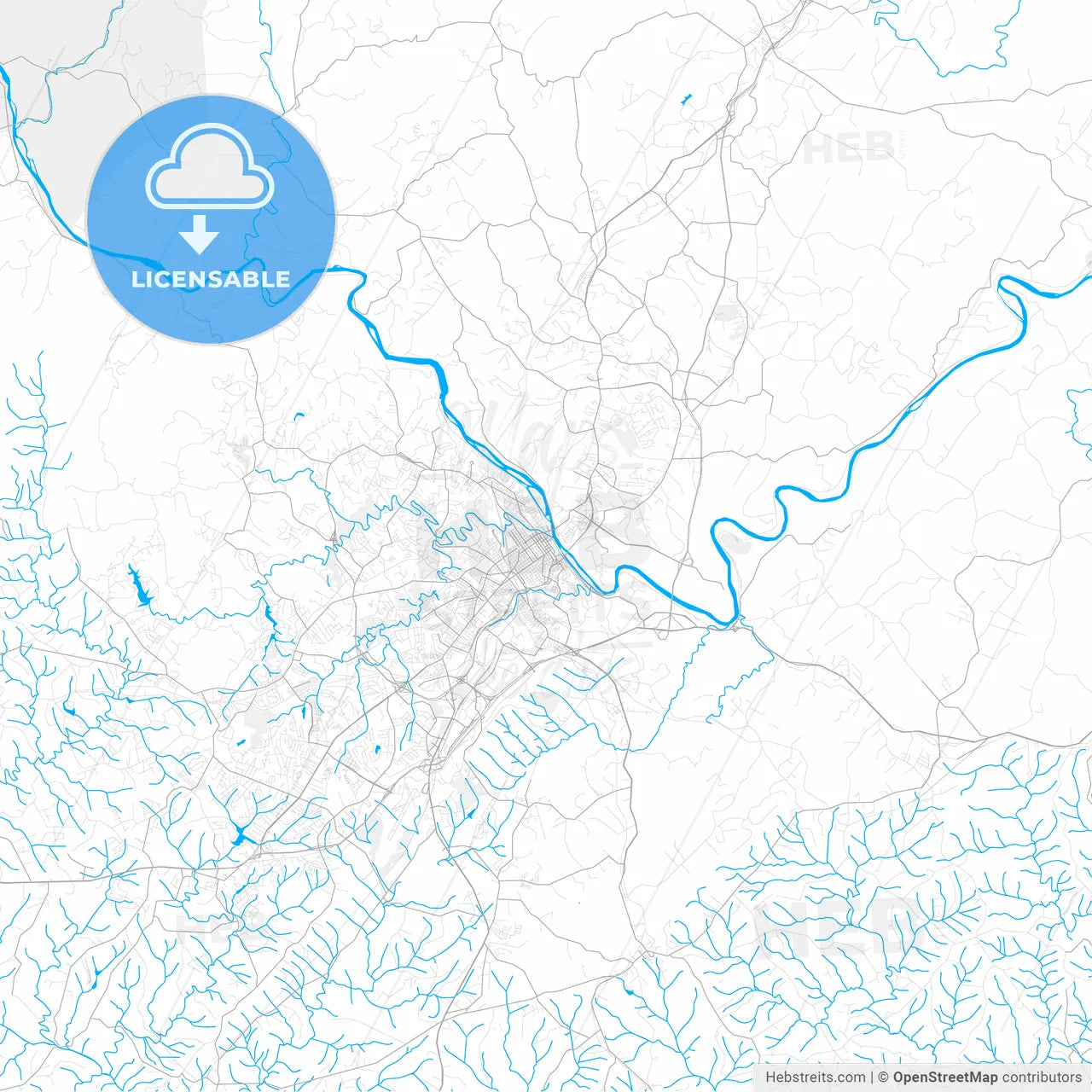 Rich detailed vector map of Lynchburg, Virginia, USA