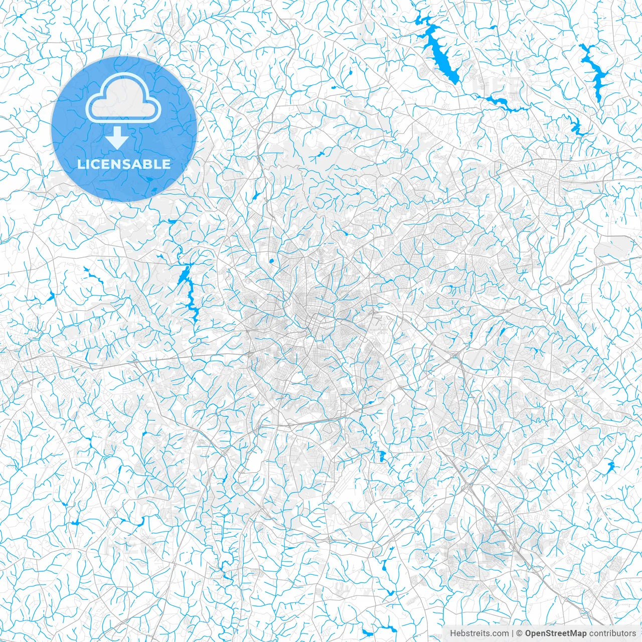 Rich detailed vector map of Greenville, South Carolina, USA
