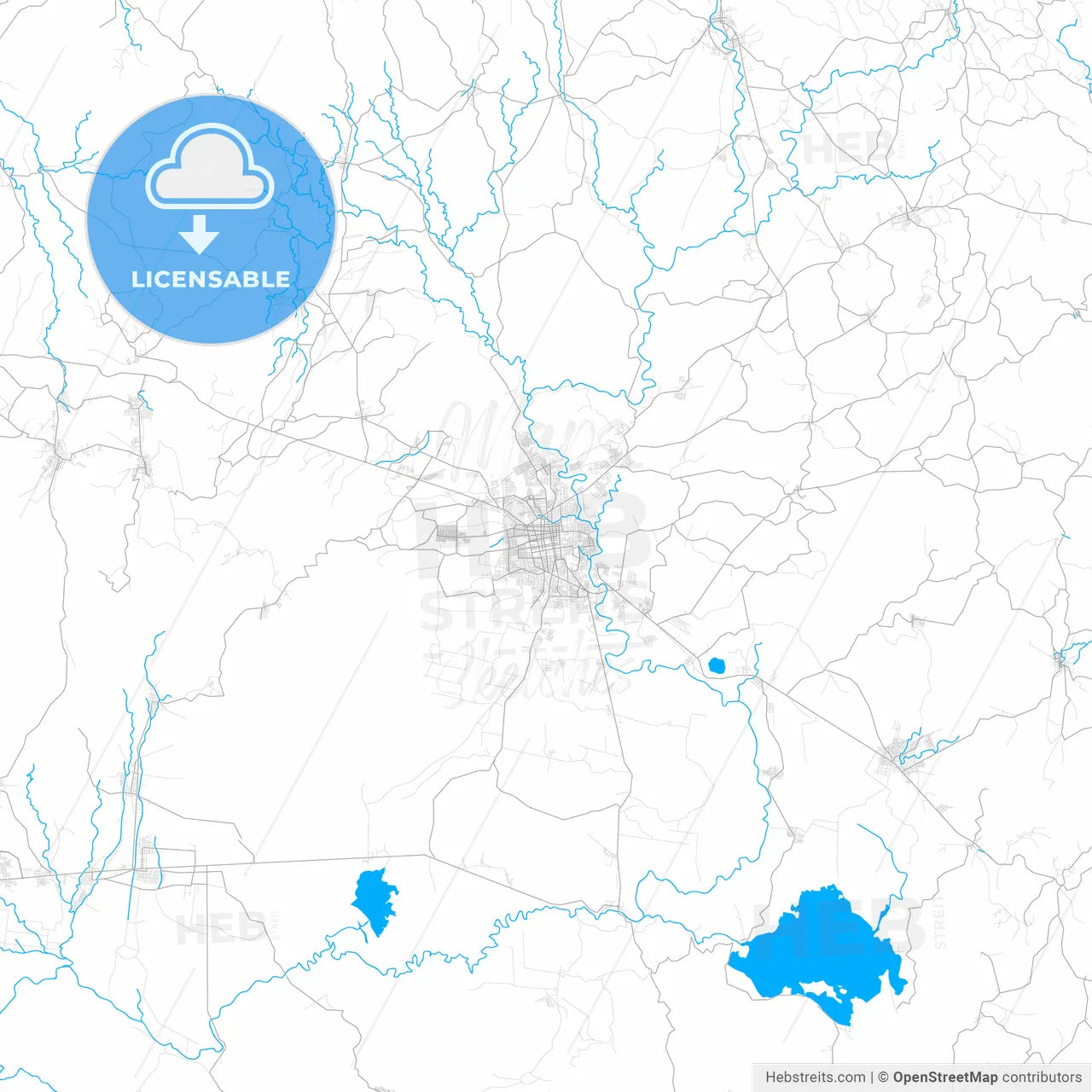 Rich detailed vector map of San Miguel, San Miguel, El Salvador