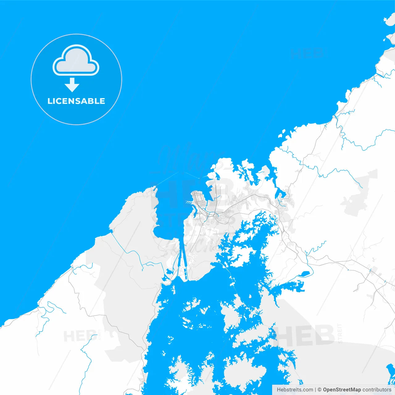Rich detailed vector map of Colón, Colón, Panama