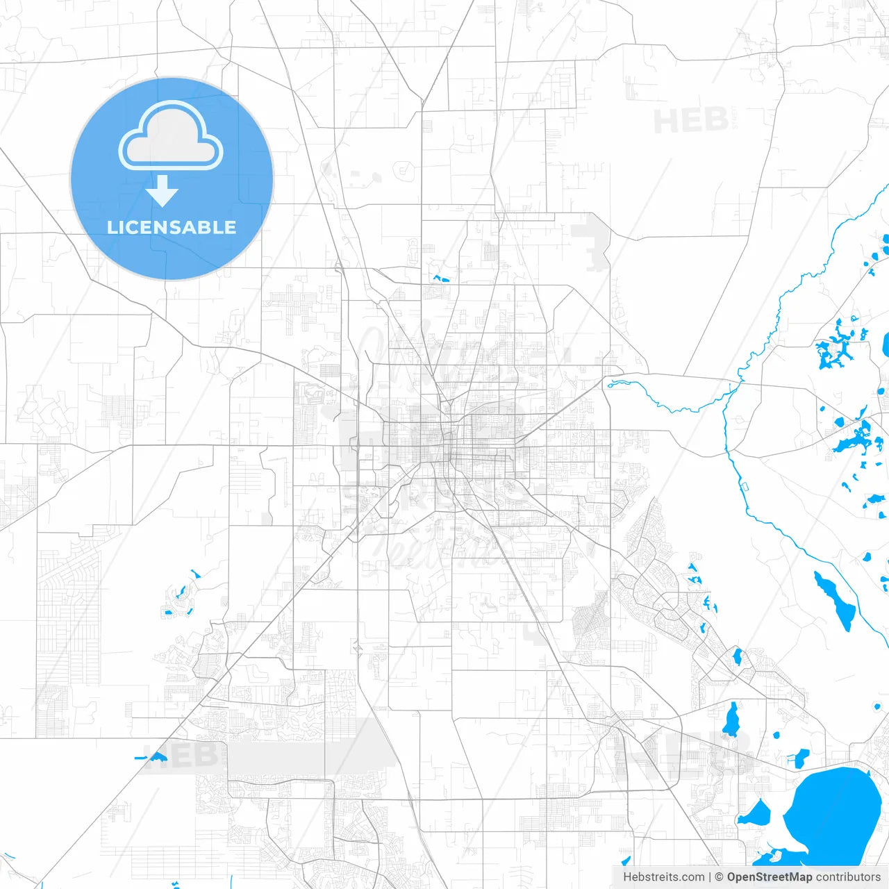 Rich detailed vector map of Ocala, Florida, USA