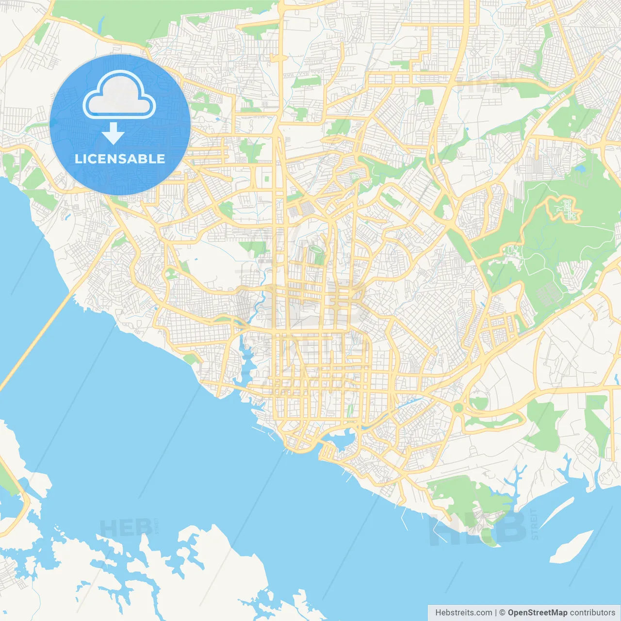 Printable street map of Manaus, Brazil