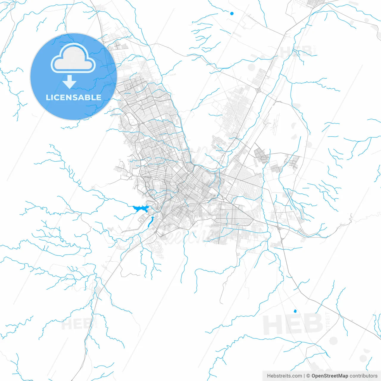 Rich detailed vector map of Chihuahua, Chihuahua, Mexico