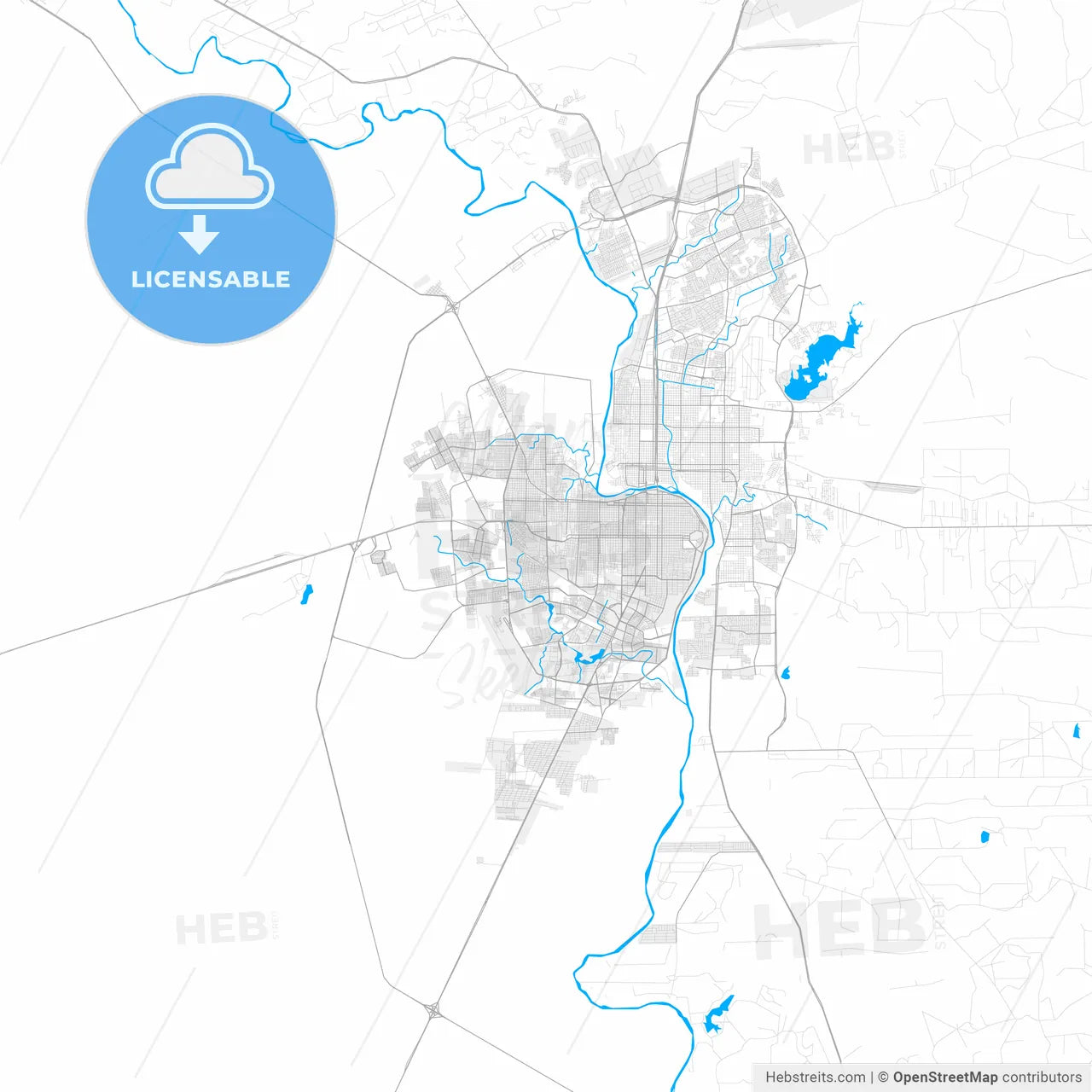 Rich detailed vector map of Nuevo Laredo, Tamaulipas, Mexico