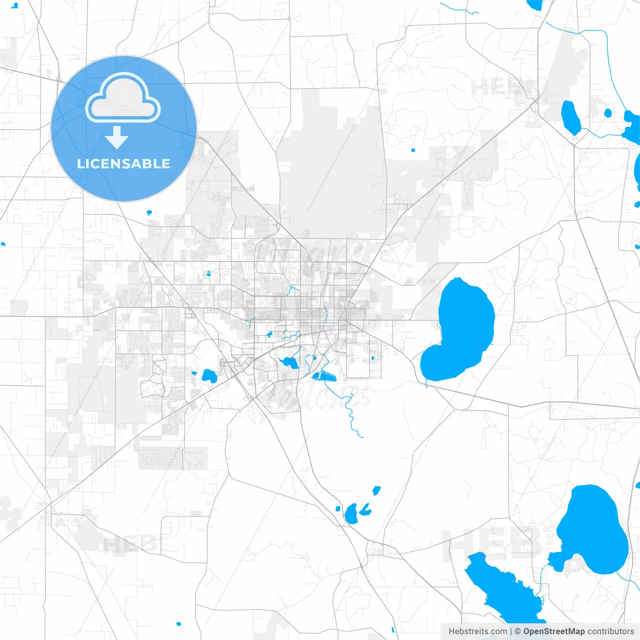 Rich detailed vector map of Gainesville, Florida, USA