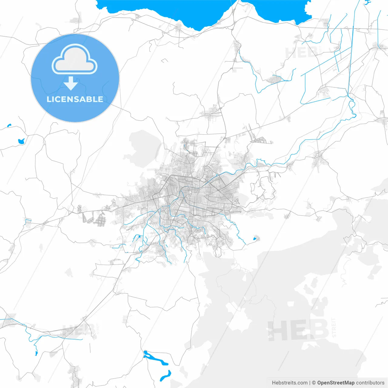 Rich detailed vector map of Morelia, Michoacán, Mexico