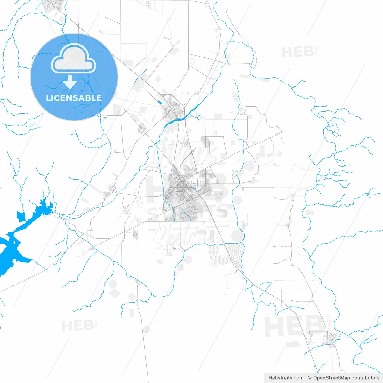 Rich detailed vector map of Delicias, Chihuahua, Mexico