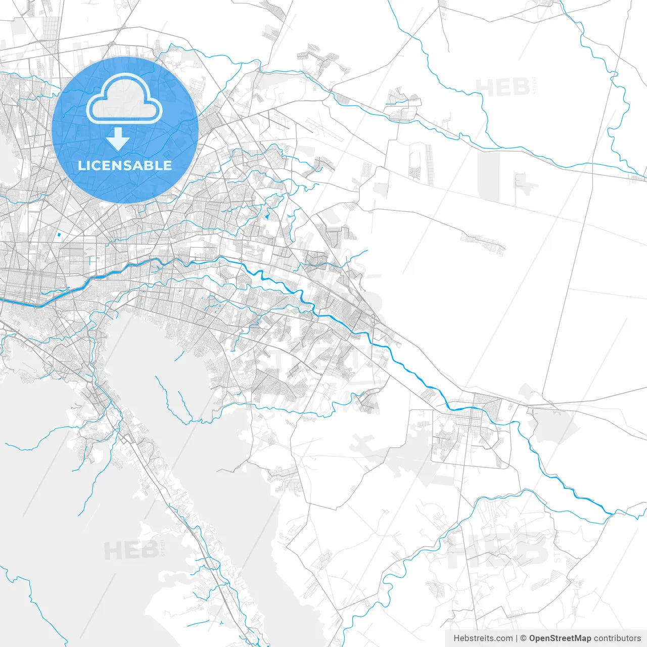 Rich detailed vector map of Ciudad Benito Juárez, Nuevo León, Mexico