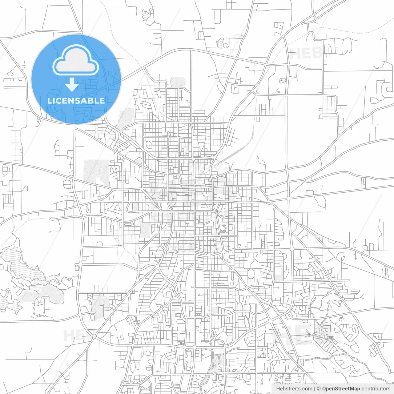 Tyler, Texas, USA, bright outlined vector map