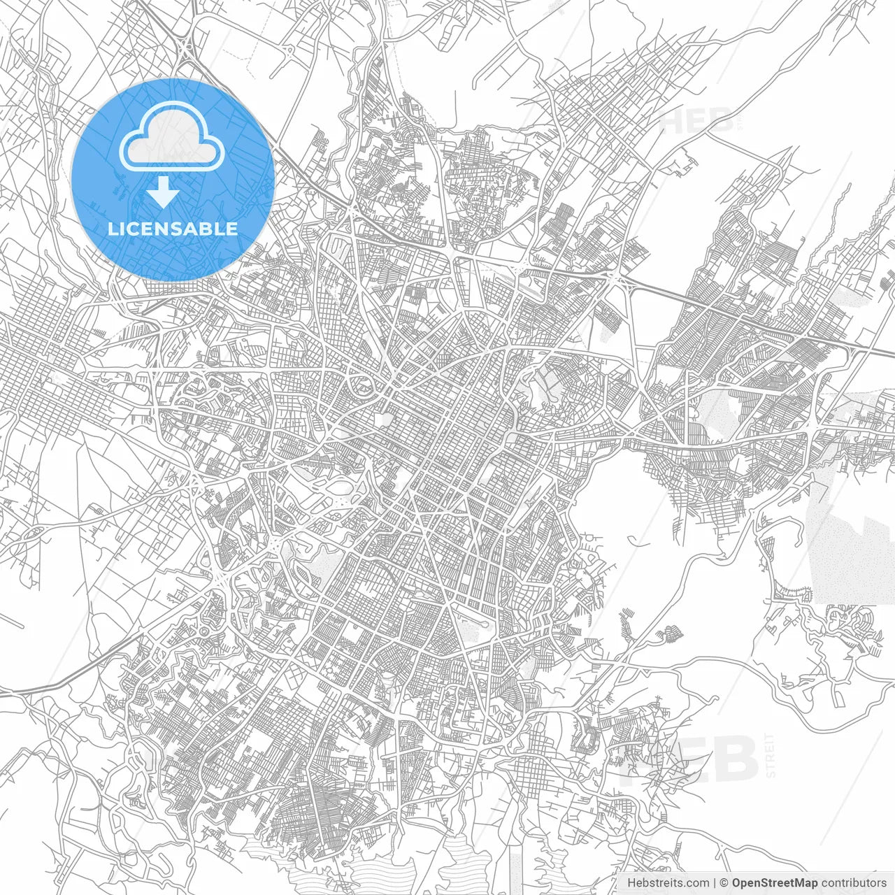 Puebla, Puebla, Mexico, bright outlined vector map