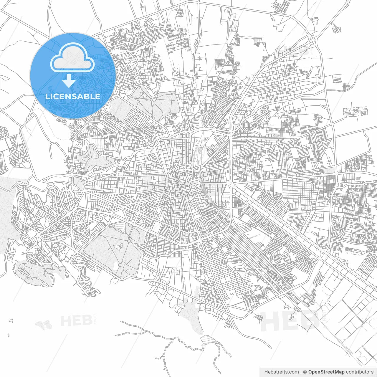 Soledad de Graciano Sánchez, San Luis Potosí, Mexico, bright outlined vector map