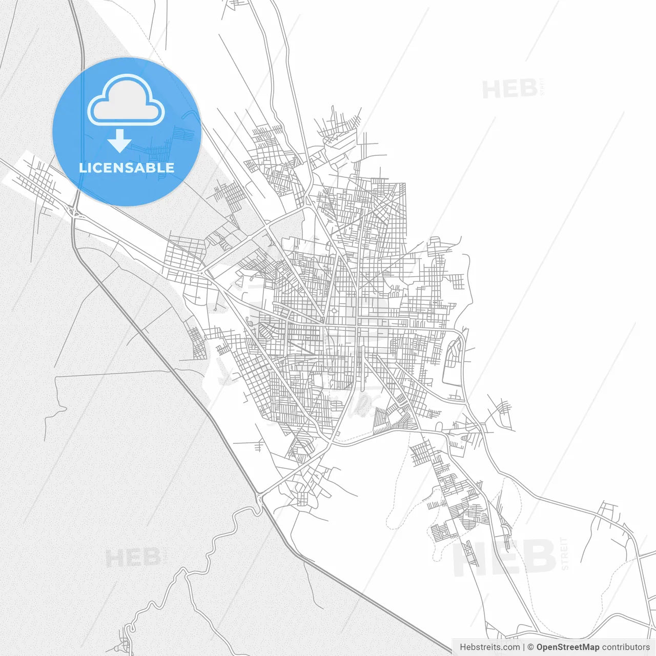 Tehuacán, Puebla, Mexico, bright outlined vector map