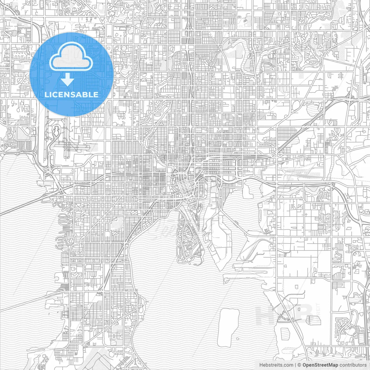 Tampa, Florida, USA, bright outlined vector map