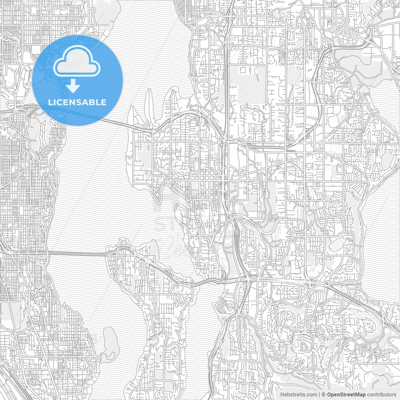 Bellevue, Washington, USA, bright outlined vector map