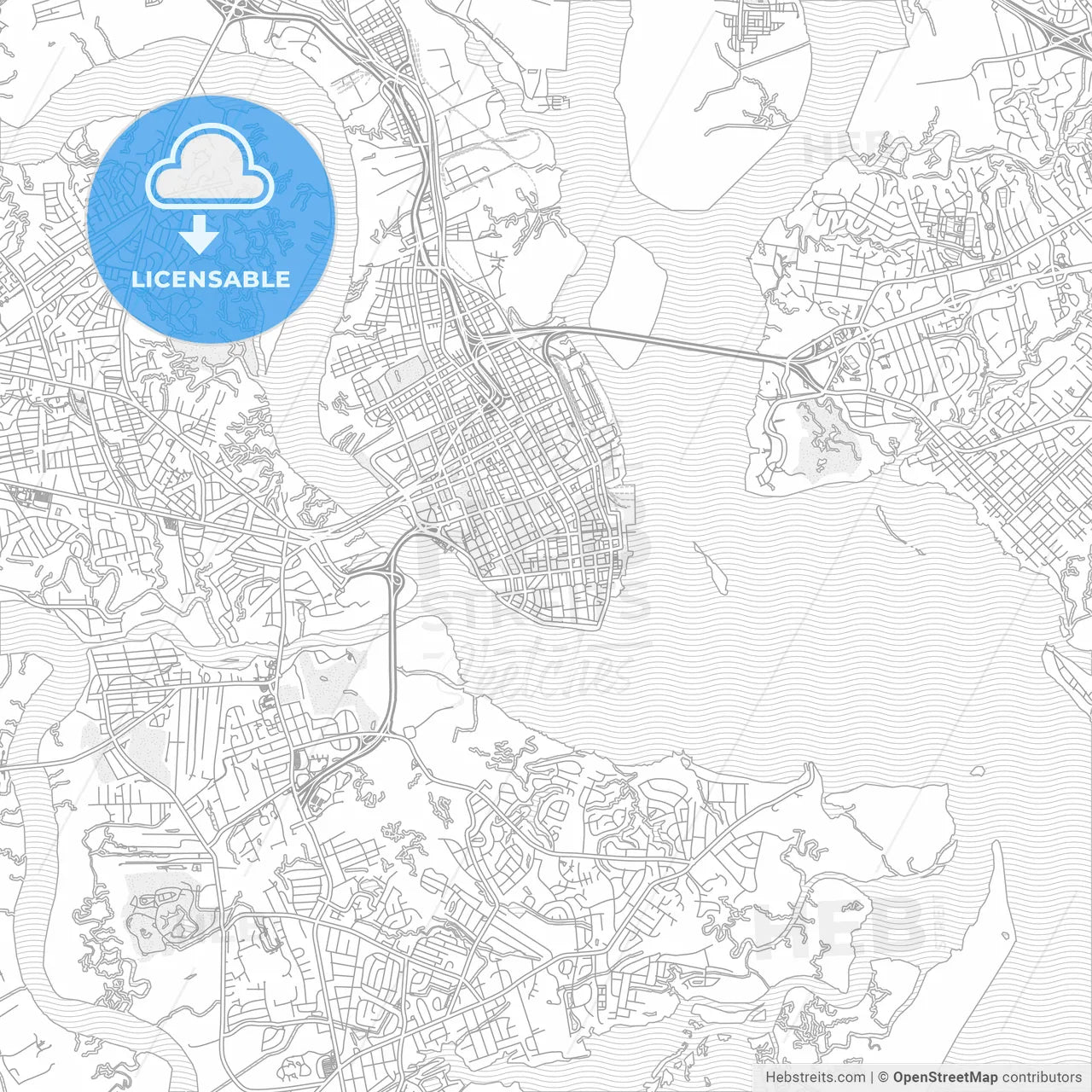 Charleston, South Carolina, USA, bright outlined vector map