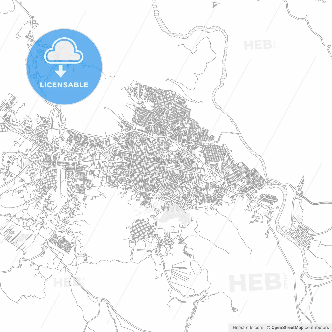 Tuxtla Gutiérrez, Chiapas, Mexico, bright outlined vector map