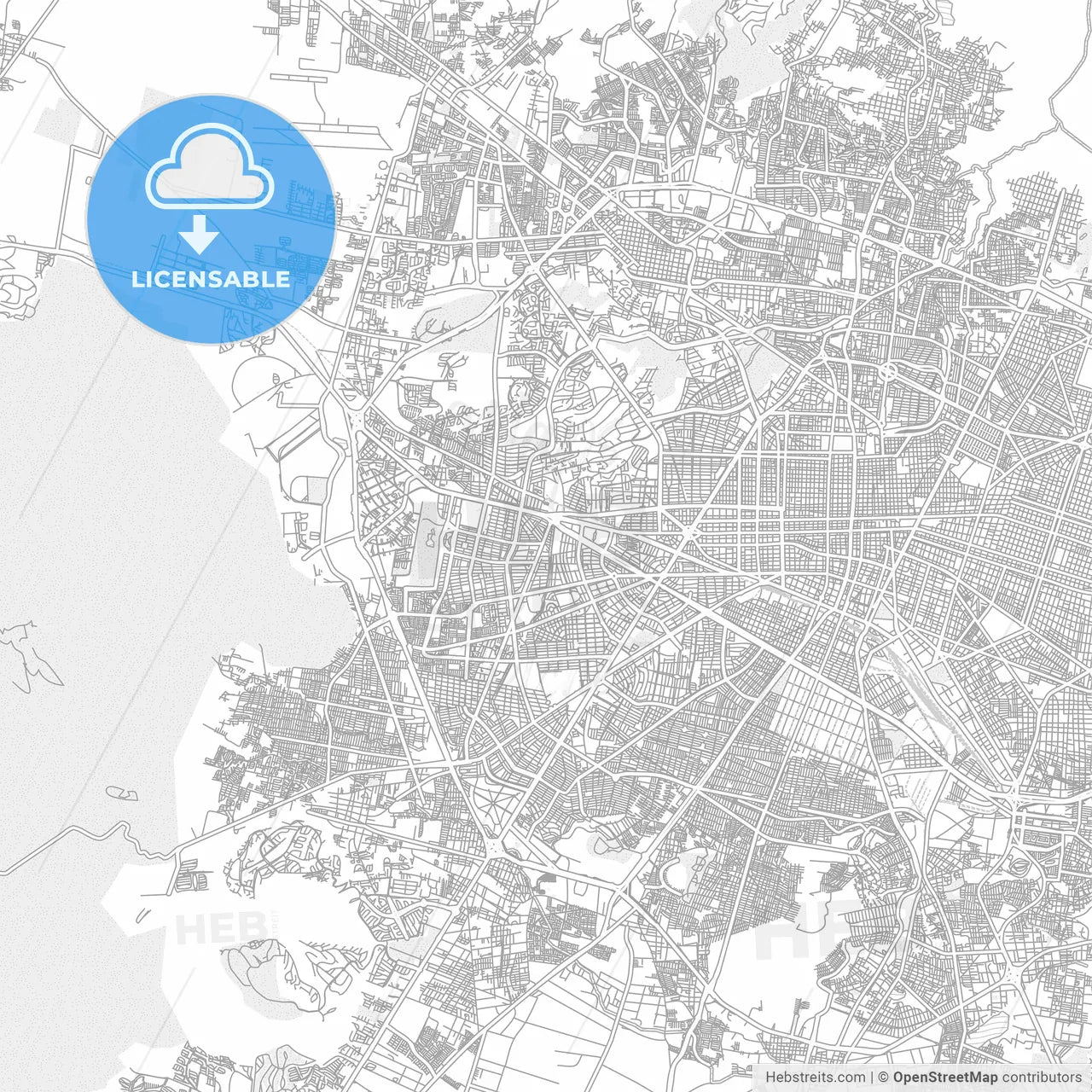 León, Guanajuato, Mexico, bright outlined vector map