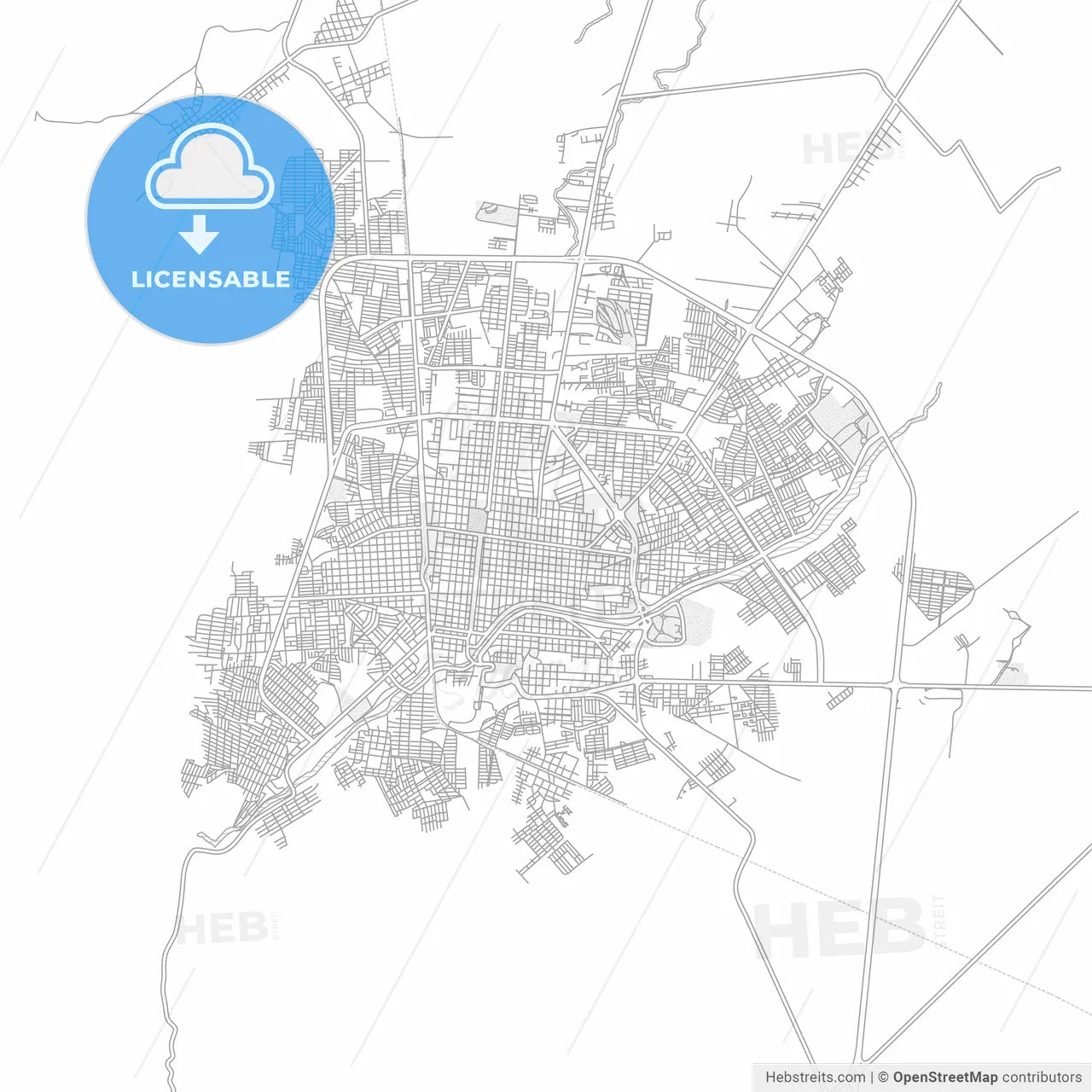 Ciudad Victoria, Tamaulipas, Mexico, bright outlined vector map