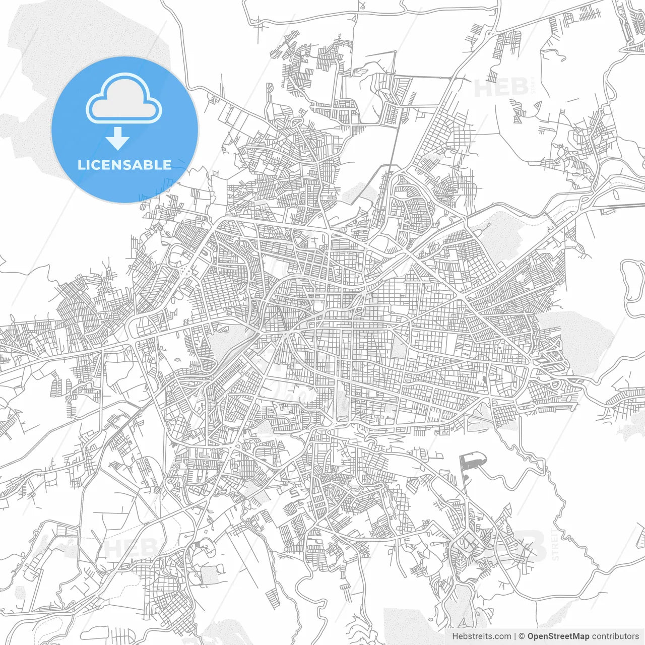Morelia, Michoacán, Mexico, bright outlined vector map