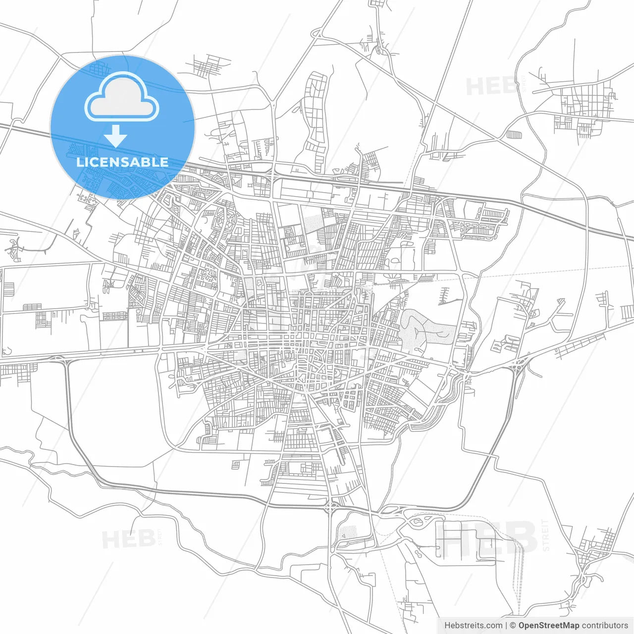 Celaya, Guanajuato, Mexico, bright outlined vector map