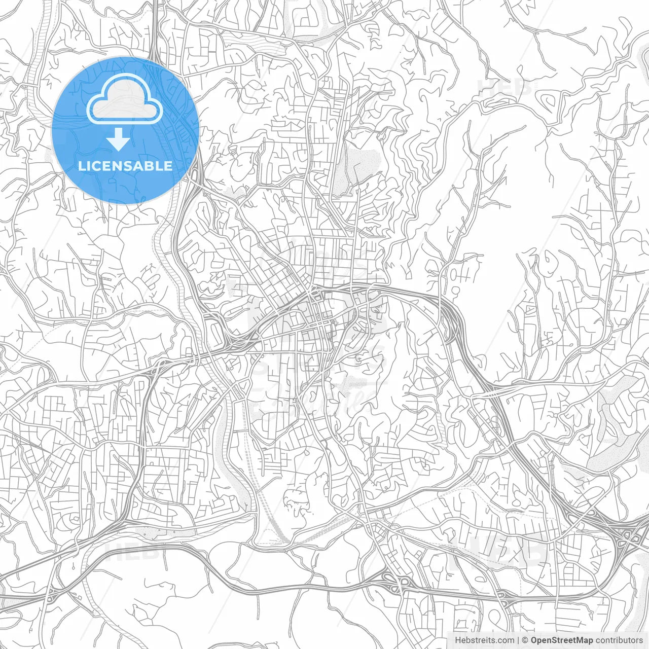 Asheville, North Carolina, USA, bright outlined vector map