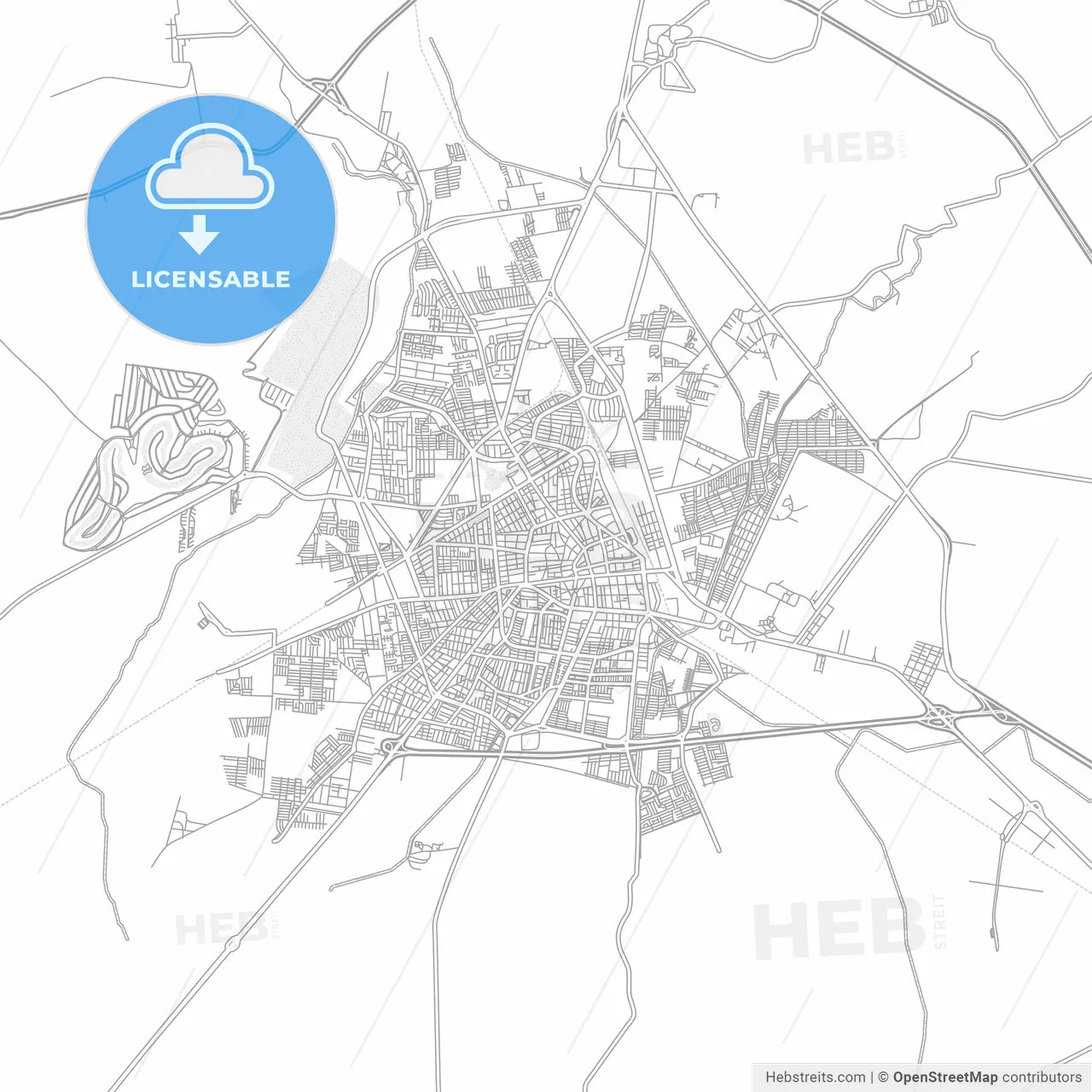 Irapuato, Guanajuato, Mexico, bright outlined vector map