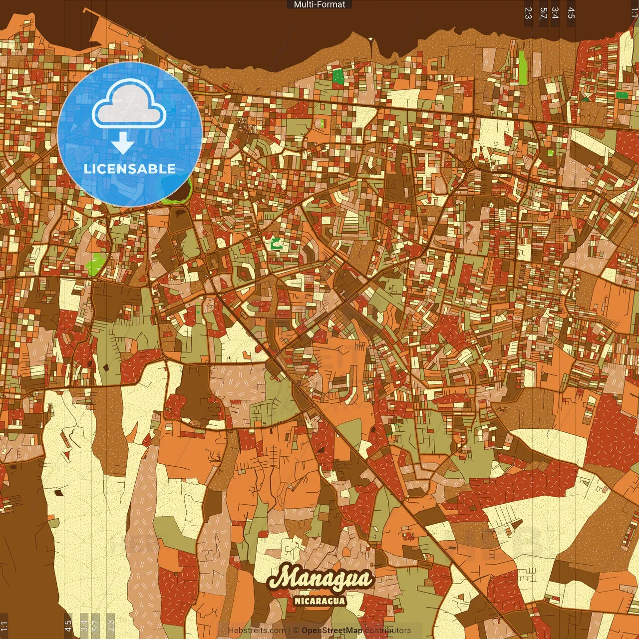 Managua Nicaragua Farmhouse Poster Art Map Template