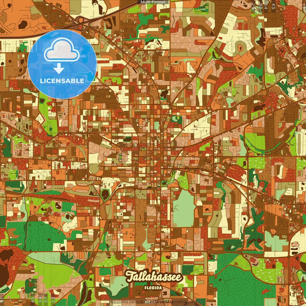 Tallahassee Florida Farmhouse Poster Art Map Template