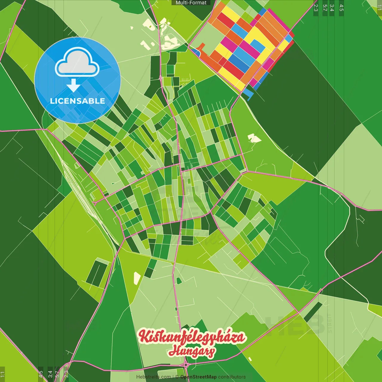 Kiskunfélegyháza, Bács-Kiskun, Hungary Crazy Colorful Street Map Poster Template