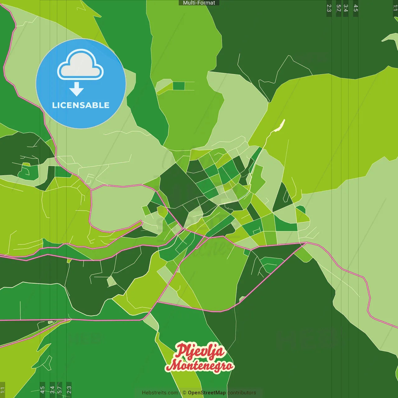 Pljevlja, Northern, Montenegro Crazy Colorful Street Map Poster Template