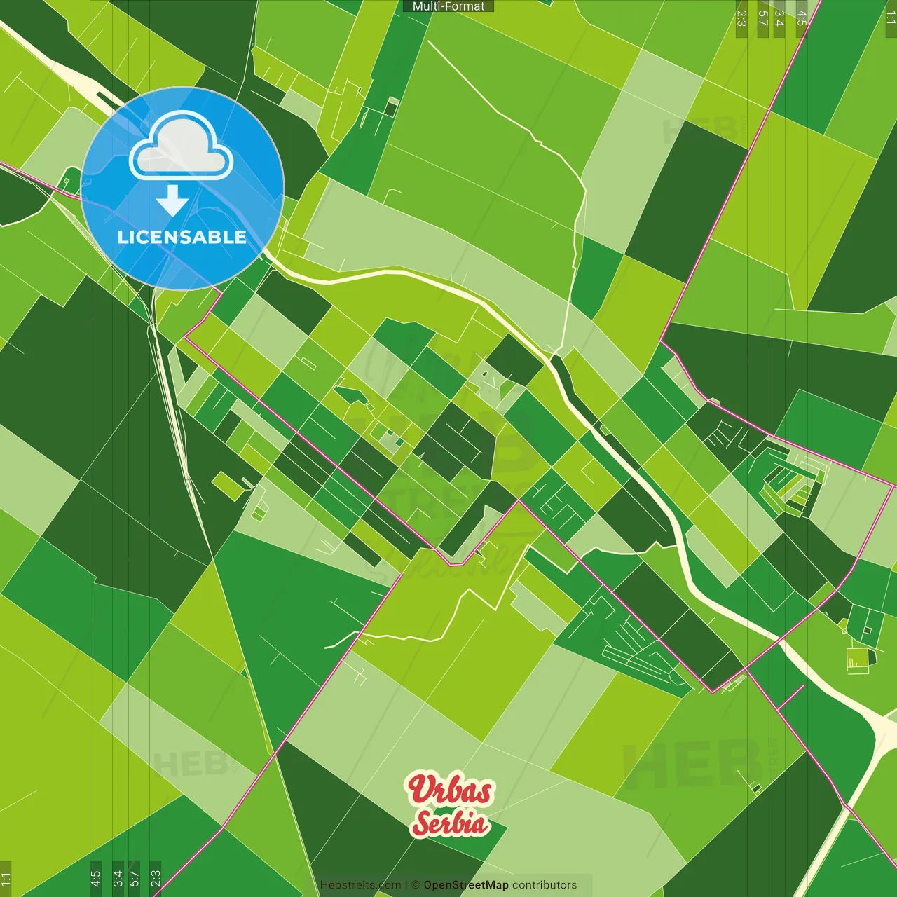 Vrbas, South Bačka, Serbia Crazy Colorful Street Map Poster Template