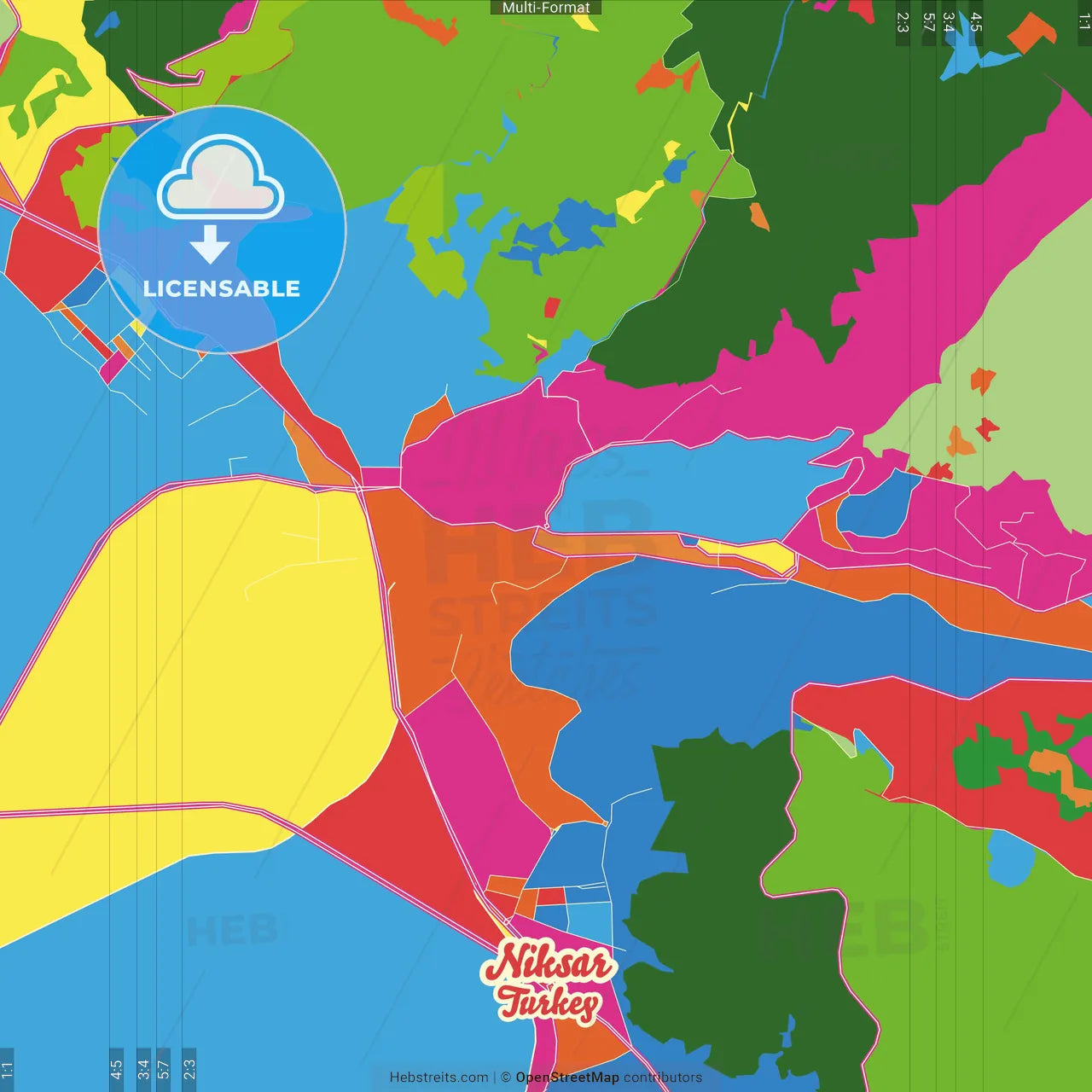 Niksar, Tokat, Turkey Crazy Colorful Street Map Poster Template