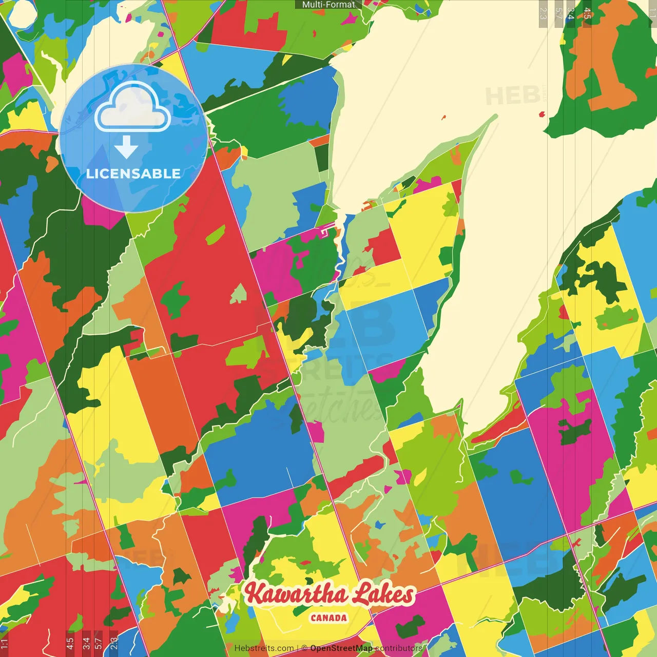 Kawartha Lakes, Ontario, Canada Crazy Colorful Street Map Poster Template