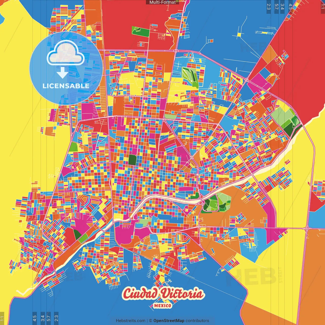 Ciudad Victoria, Tamaulipas, Mexico Crazy Colorful Street Map Poster Template