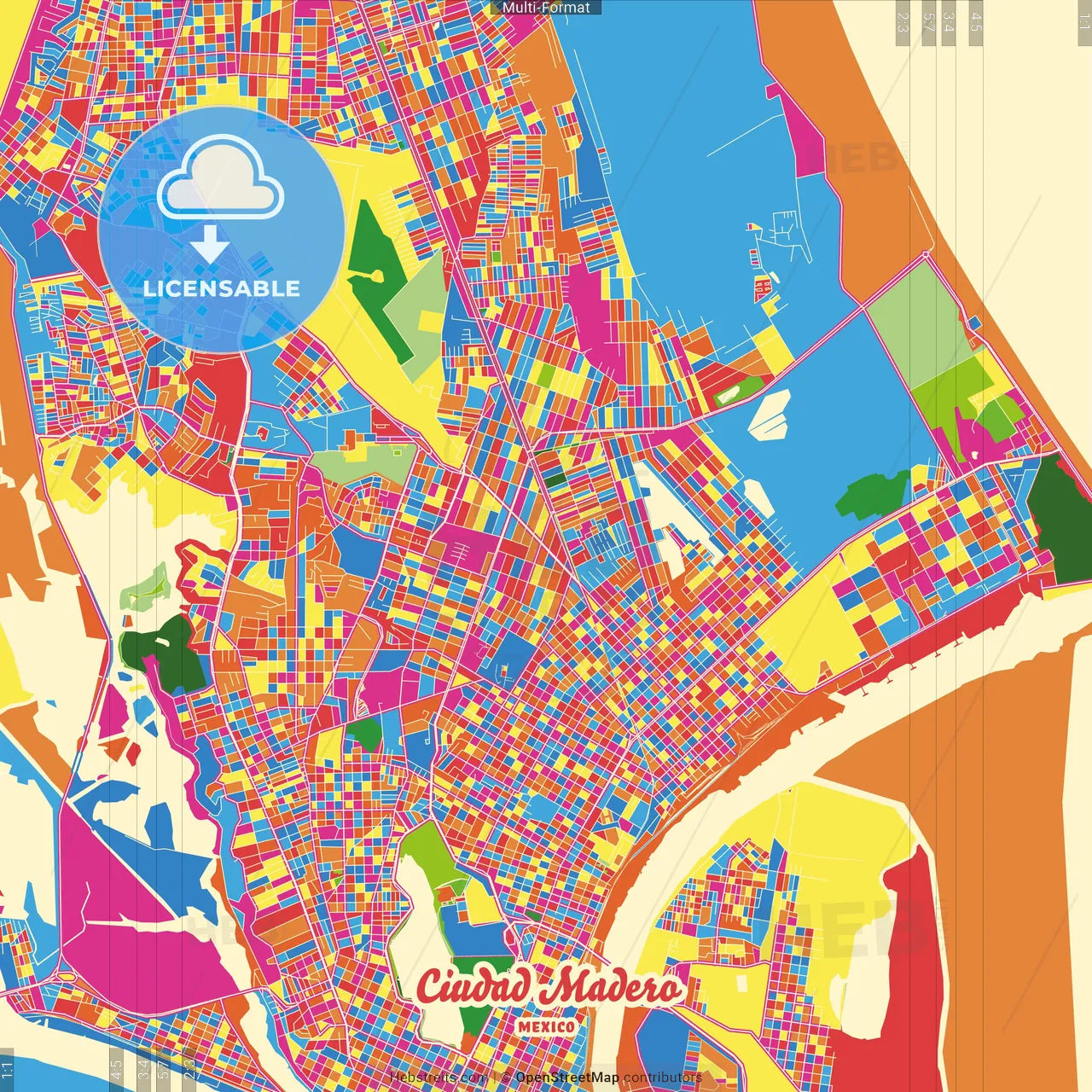 Ciudad Madero, Tamaulipas, Mexico Crazy Colorful Street Map Poster Template