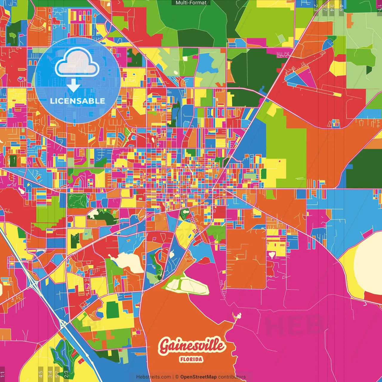 Gainesville, Florida, United States Crazy Colorful Street Map Poster Template