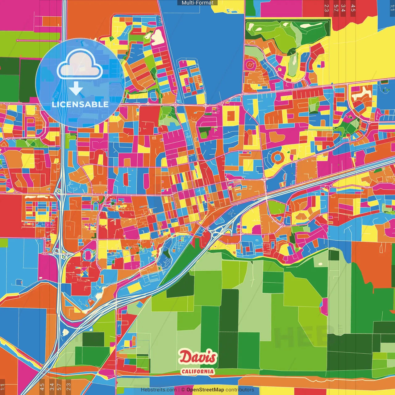 Davis, California, United States Crazy Colorful Street Map Poster Template