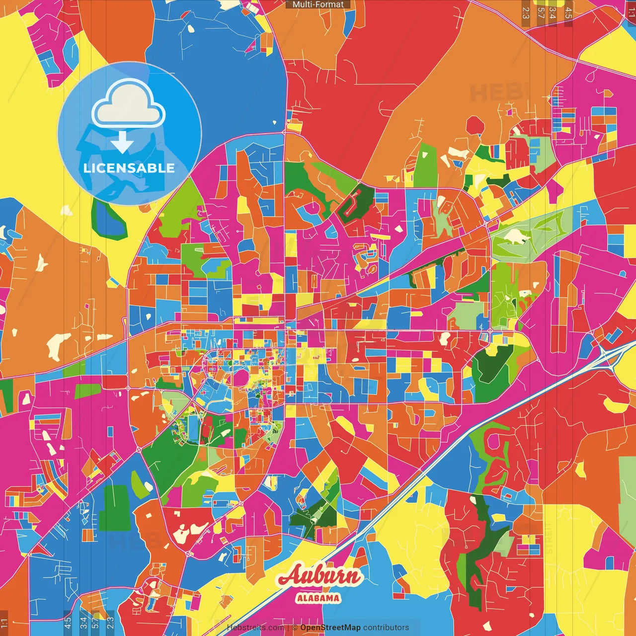 Auburn, Alabama, United States Crazy Colorful Street Map Poster Template