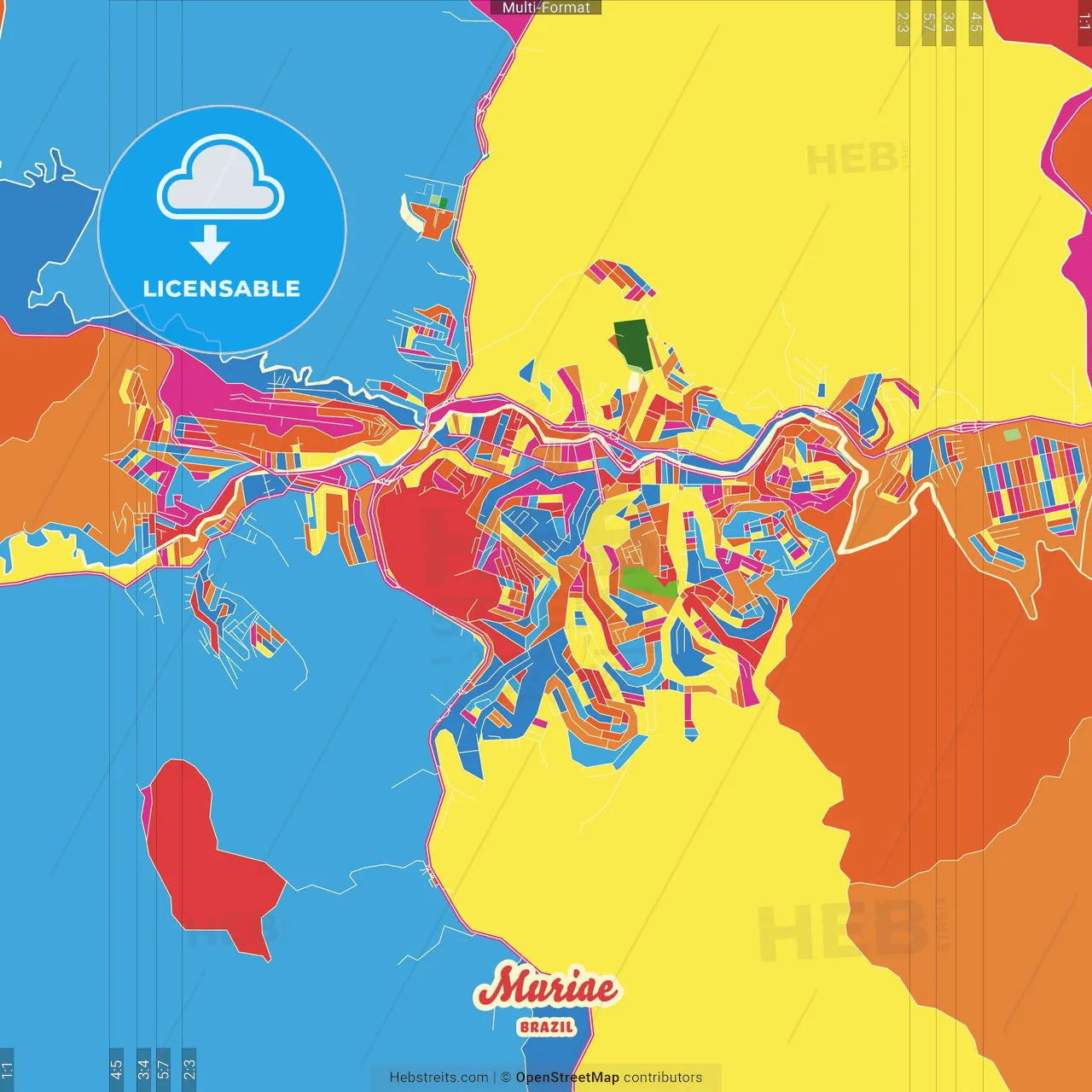 Muriae, Brazil Crazy Colorful Street Map Poster Template