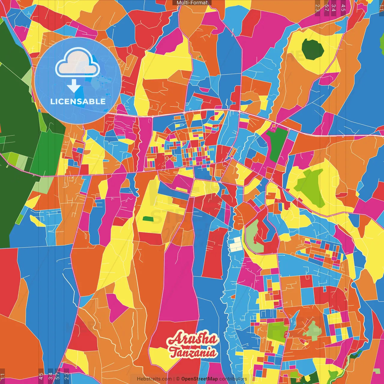 Arusha, Tanzania Crazy Colorful Street Map Poster Template