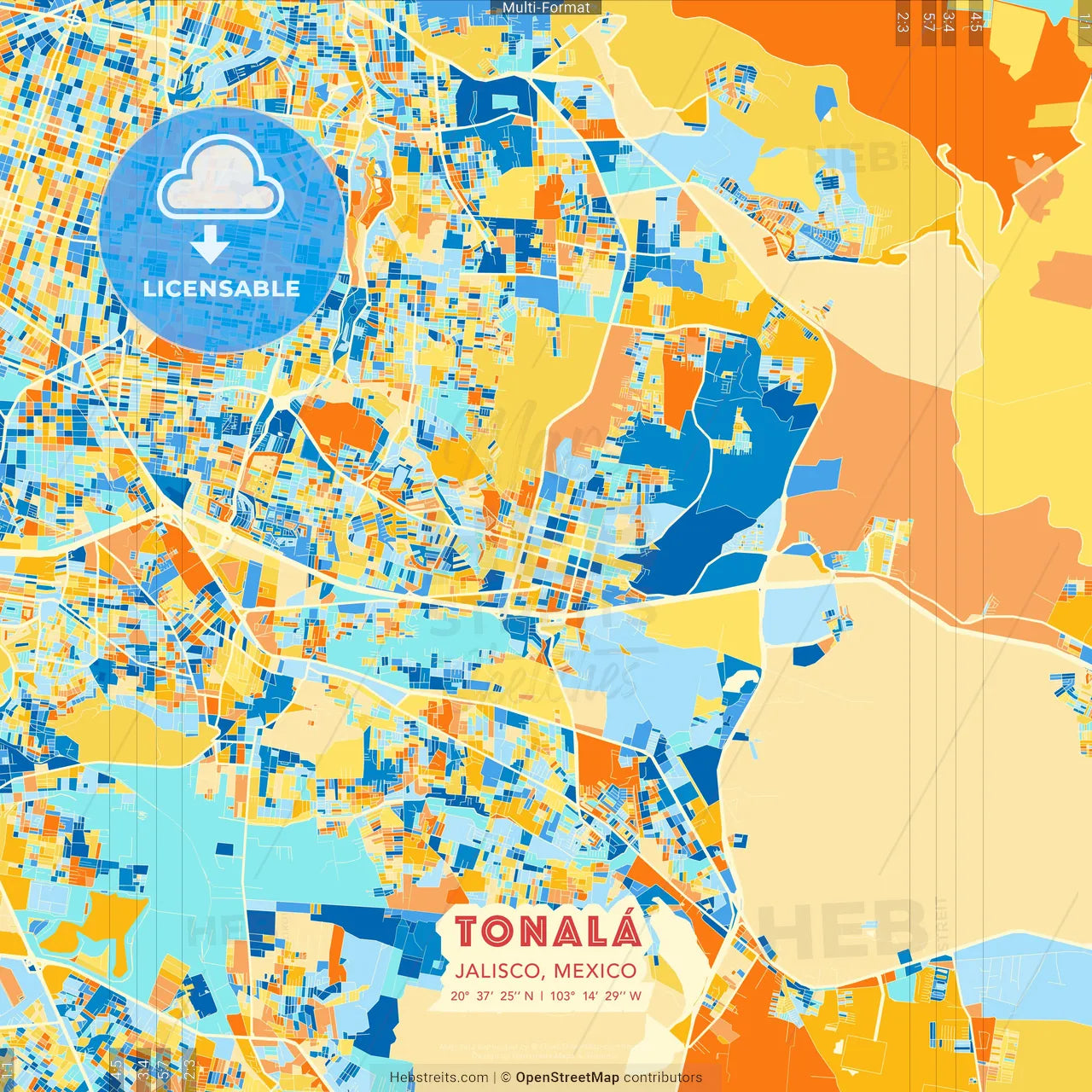 Tonalá, Jalisco, Mexico blue and orange vector art map template