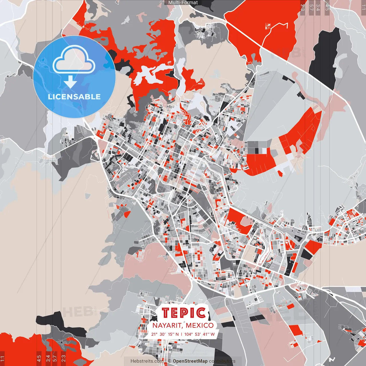 Tepic, Nayarit, Mexico - modern street map poster template with gray and red tones