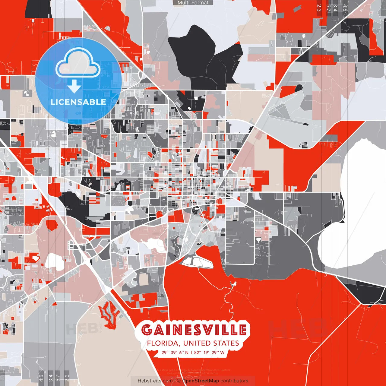 Gainesville, Florida, United States - modern street map poster template with gray and red tones