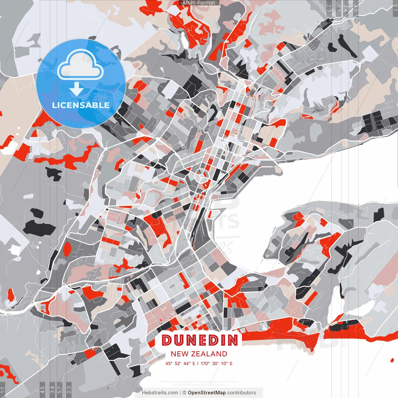 Dunedin, New Zealand - modern street map poster template with gray and red tones