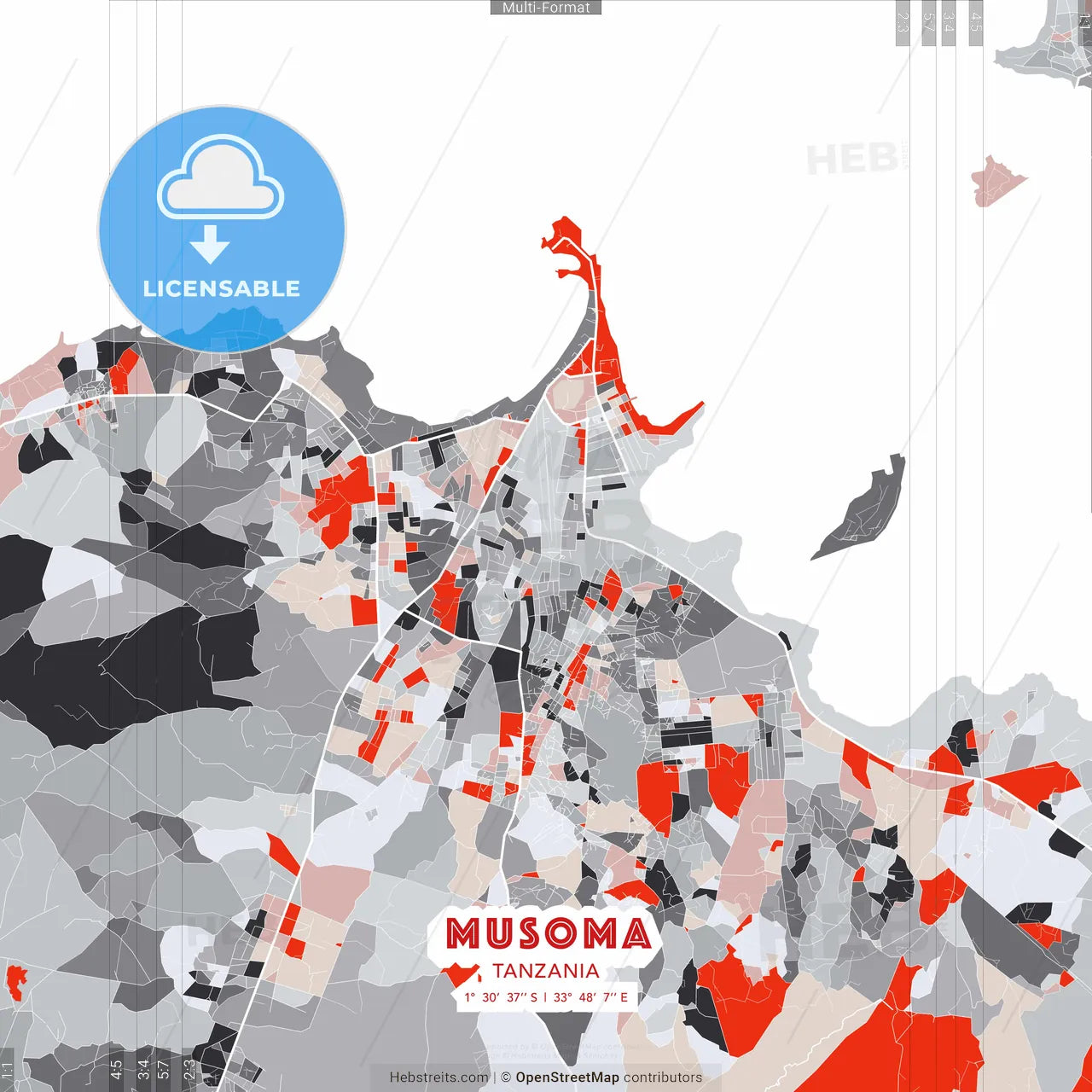 Musoma, Tanzania - modern street map poster template with gray and red tones