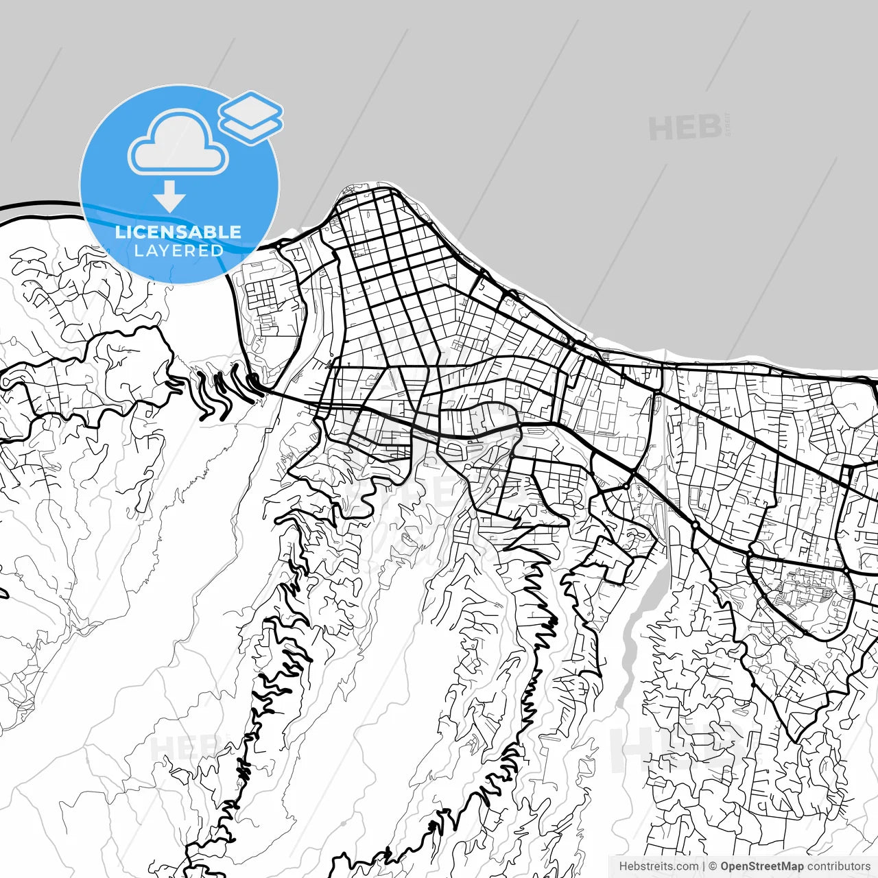 Layered PDF map of Saint-Denis, Réunion, France