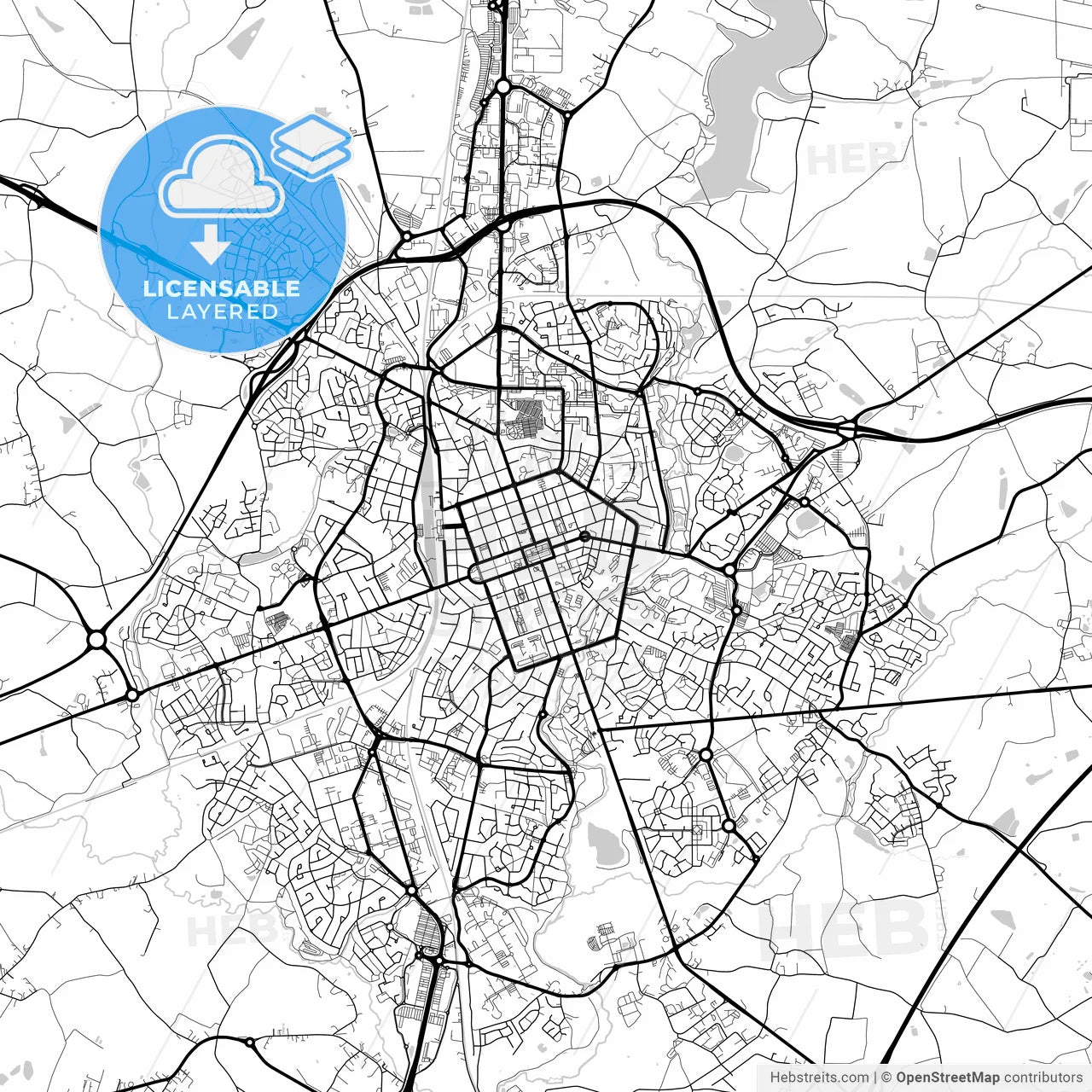 Layered PDF map of La Roche-sur-Yon, Vendée, France
